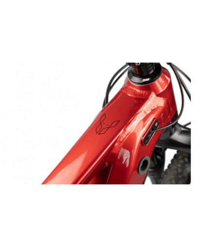 PELLS Thorr Evo Pro