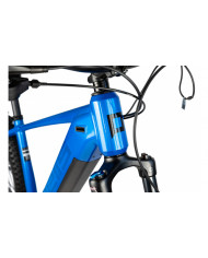 PELLS Thorr First ER Blue