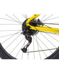 Crussis e-Largo 7.11 (715Wh)