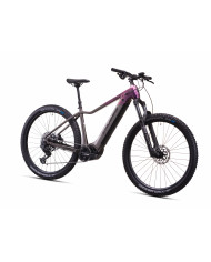 Crussis e-Fionna 10.11-(715 Wh)