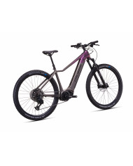 Crussis e-Fionna 10.11-(715 Wh)