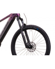 Crussis e-Fionna 10.11-(715 Wh)