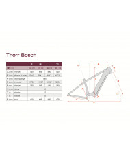 PELLS Thorr Bosch 2
