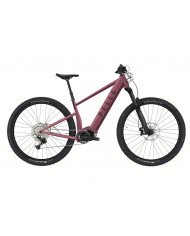 Thorr Panasonic 1 Mat